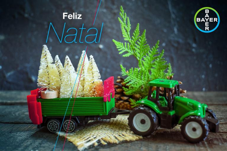 A toy green tractor pulling a trailer loaded with miniature Christmas trees. A pine cone and a fern leaf are in the background. Text reads "Feliz Natal" with the Bayer logo.