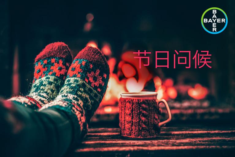 Cozy feet in patterned socks by a fireplace, next to a red mug. Text in Chinese characters and a circular Bayer logo are present.