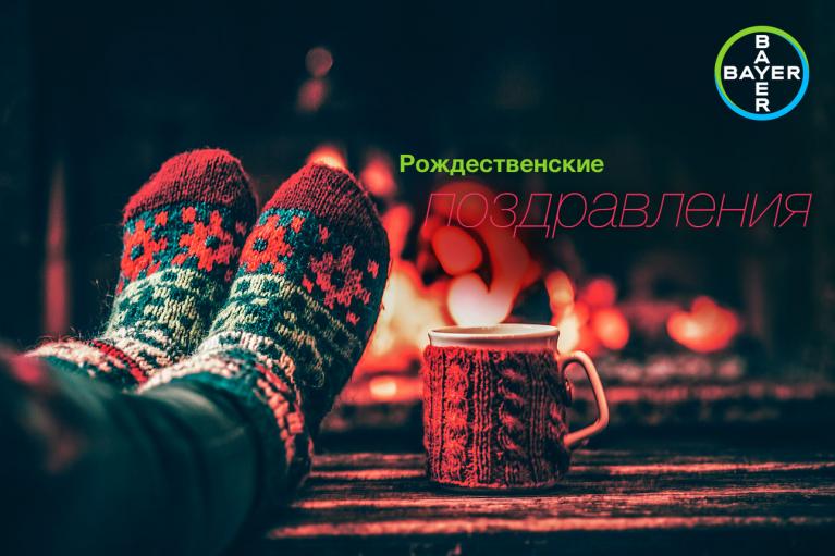 Feet in cozy socks near a fireplace, next to a mug. Russian text reads "Рождественские поздравления." Bayer logo is in the corner.
