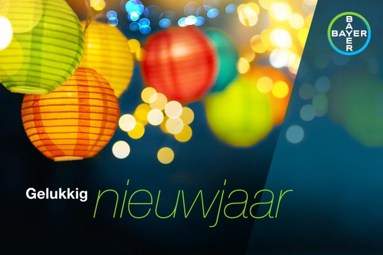 Colorful paper lanterns and glowing lights with text "Gelukkig nieuwjaar" beside the Bayer logo.