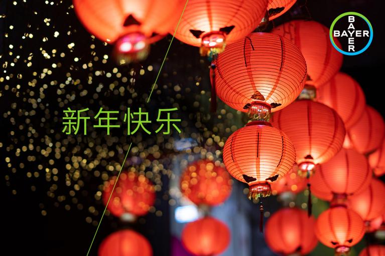Red lanterns hang with blurred lights in the background. Chinese characters wishing a happy new year, along with the Bayer logo, are displayed.