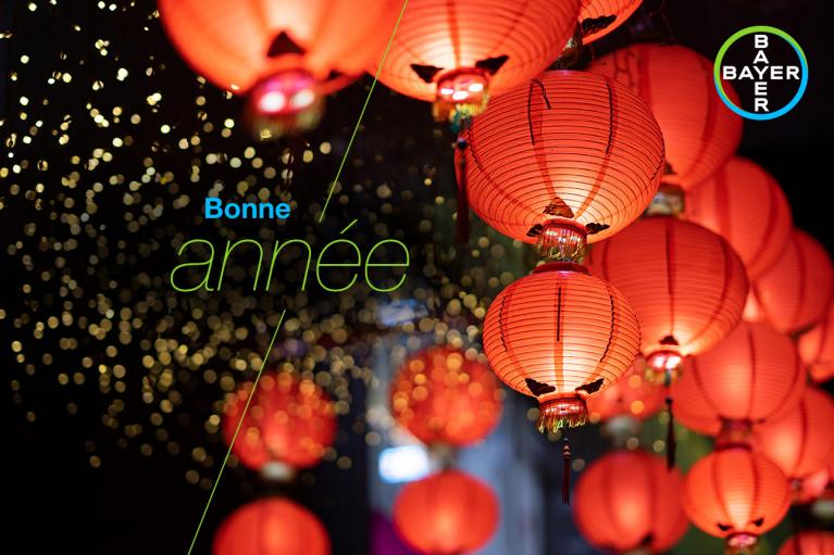 Red lanterns hanging under string lights with the text "Bonne année" and a Bayer logo in the corner.