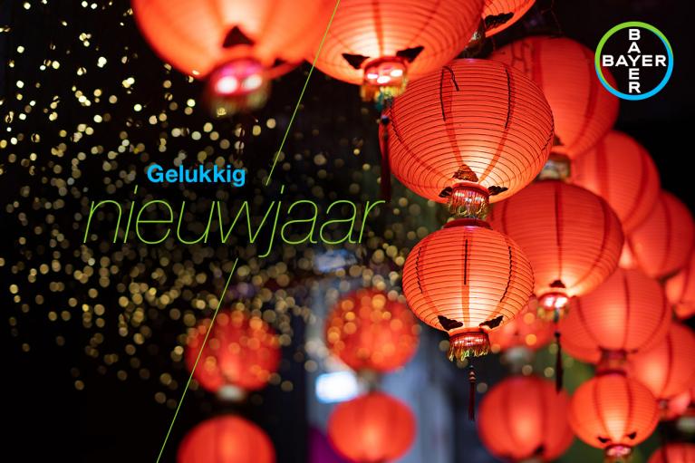Red lanterns with warm lighting hang against a backdrop of blurred lights. The text reads "Gelukkig nieuwjaar" and features a Bayer logo in the upper right corner.