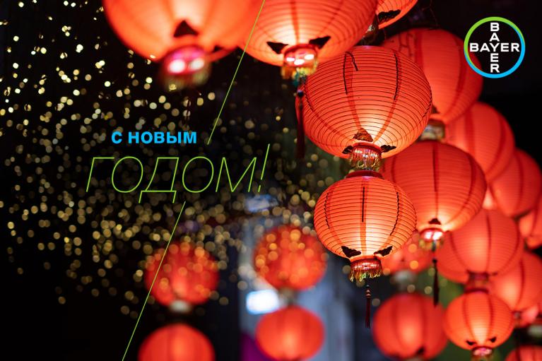 Red lanterns lit up against a background of small yellow lights, with Russian text "С Новым Годом!" and a Bayer logo in the top right corner.
