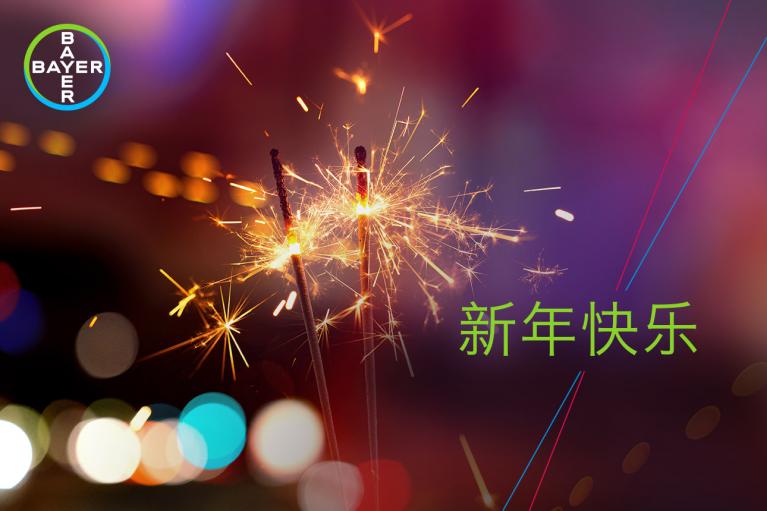 Sparklers lit against a blurred festive background with the Bayer logo and "新年快乐" (Happy New Year) in green text.