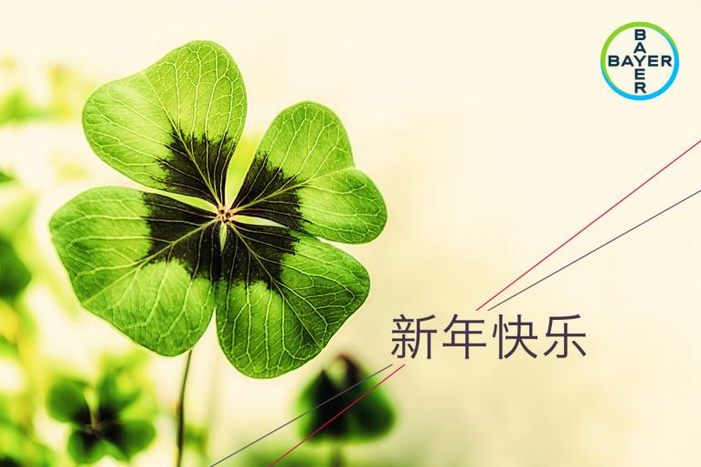 Four-leaf clover with Chinese text "新年快乐" (Happy New Year) and Bayer logo.
