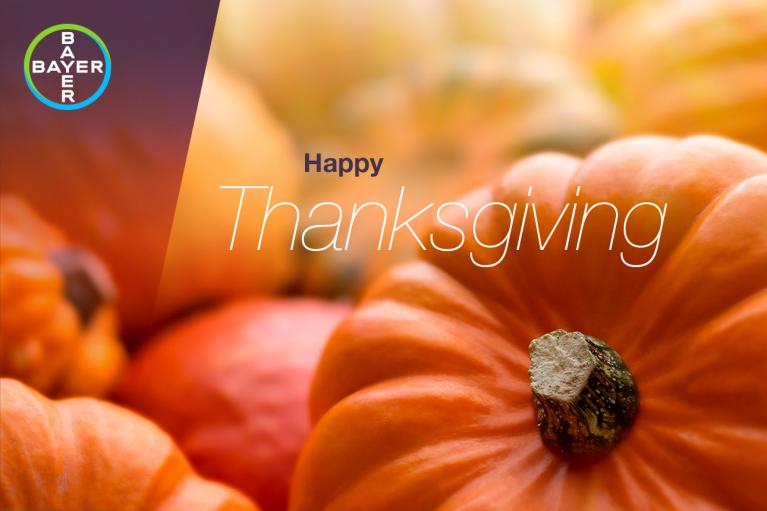 Thanksgiving greeting on a background of various pumpkins with a Bayer logo in the corner.
