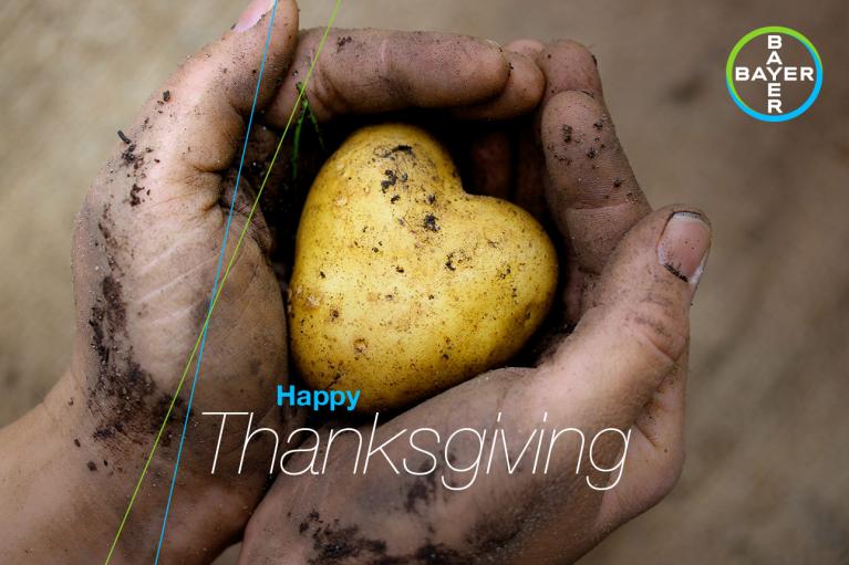 Hands holding a heart-shaped potato with dirt, accompanied by the words "Happy Thanksgiving" and the Bayer logo in the top right corner.