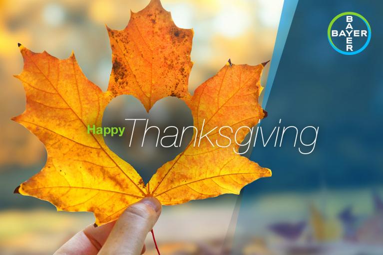 A hand holds a maple leaf with a heart-shaped cutout against a blurred background. The text reads "Happy Thanksgiving" with a Bayer logo in the corner.