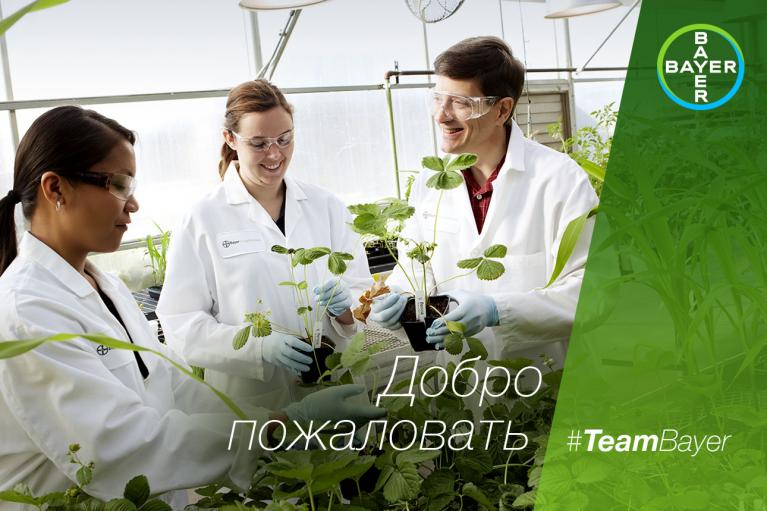 Three scientists in lab coats and goggles examine plants in a greenhouse. The text reads "Добро пожаловать" and "#TeamBayer." A Bayer logo is in the top right corner.