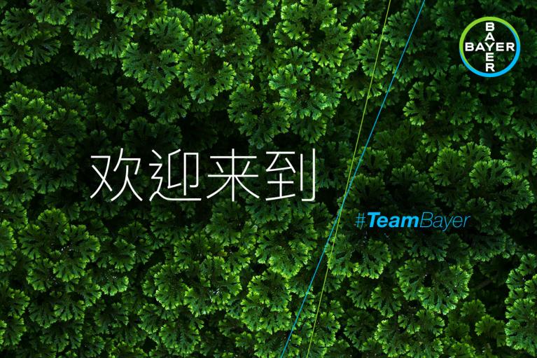 Aerial view of dense green foliage with Chinese text "欢迎来到" and the hashtag "#TeamBayer" on the right. Bayer logo is at the top right corner.
