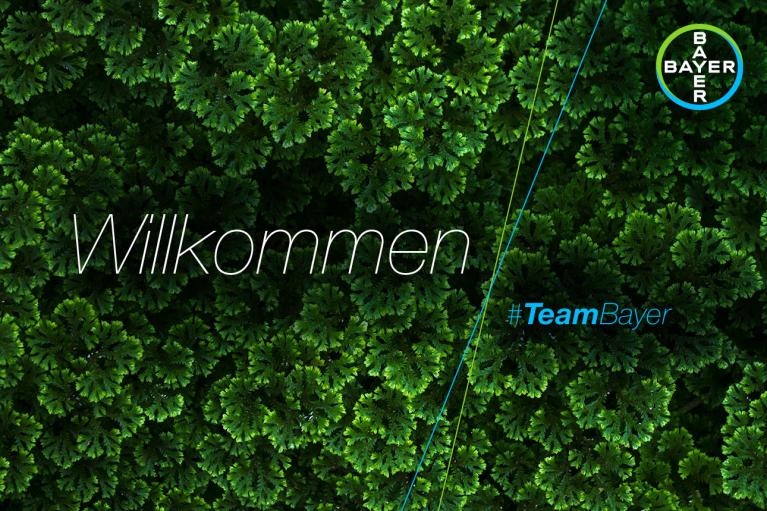 Aerial view of dense green foliage with the words "Willkommen" and "#TeamBayer" overlayed in white and blue text. Bayer logo appears in the top-right corner.
