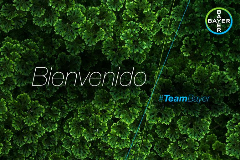 Text "Bienvenido" over a dense green foliage background with a logo in the corner and hashtag "#TeamBayer".