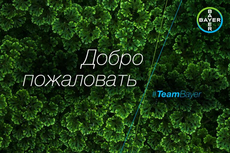 Text in Russian reads "Добро пожаловать" on a background of green foliage with the Bayer logo and hashtag #TeamBayer.