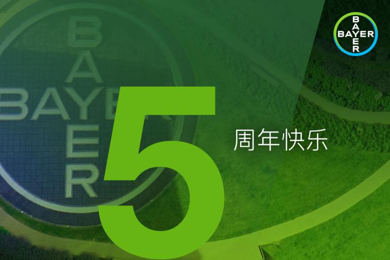 Green image featuring the large number 5 with Chinese text translating to "Happy Anniversary." Bayer logo visible in the top right corner.