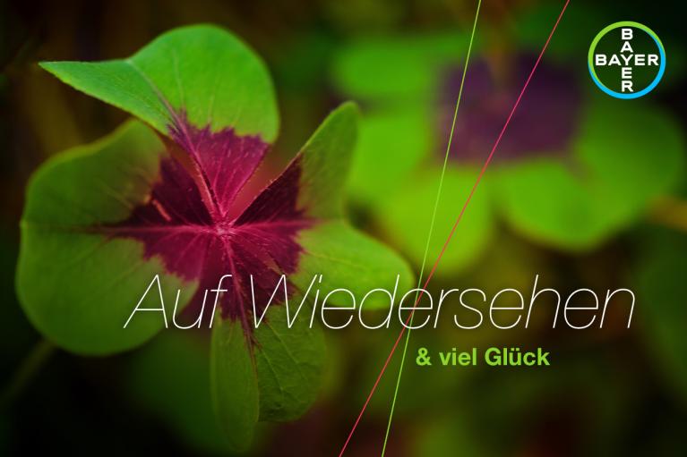 Green four-leaf clover with a purple center, featuring the text "Auf Wiedersehen & viel Glück" and the Bayer logo in the top right corner.