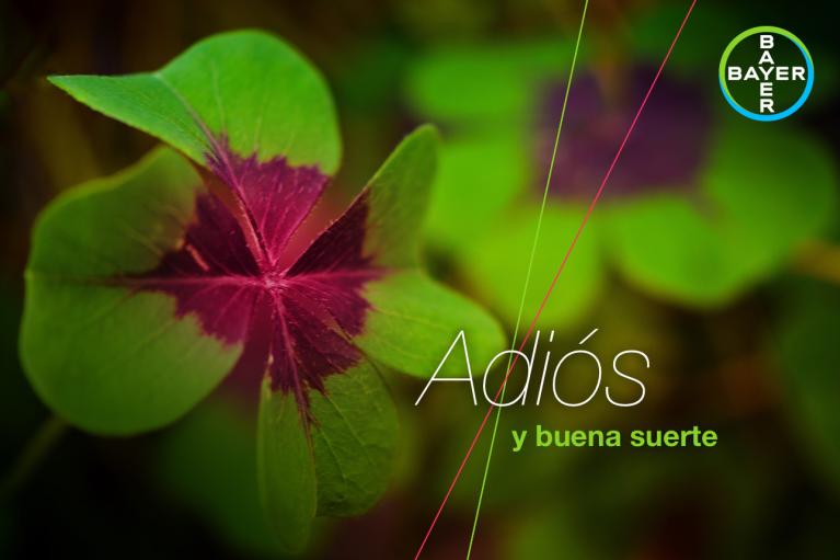 Green and purple clover leaf with "Adiós y buena suerte" text and Bayer logo in the top right corner.