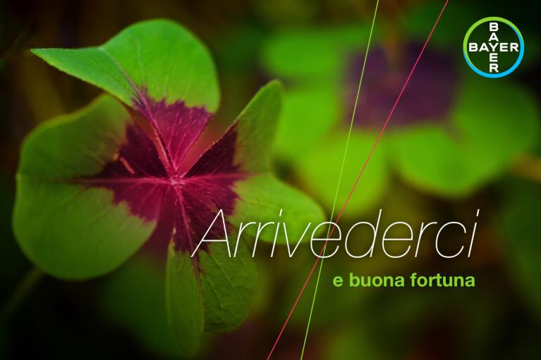 Close-up of a four-leaf clover with green and purple leaves. Italian text reads "Arrivederci e buona fortuna" with a Bayer logo in the top right corner.