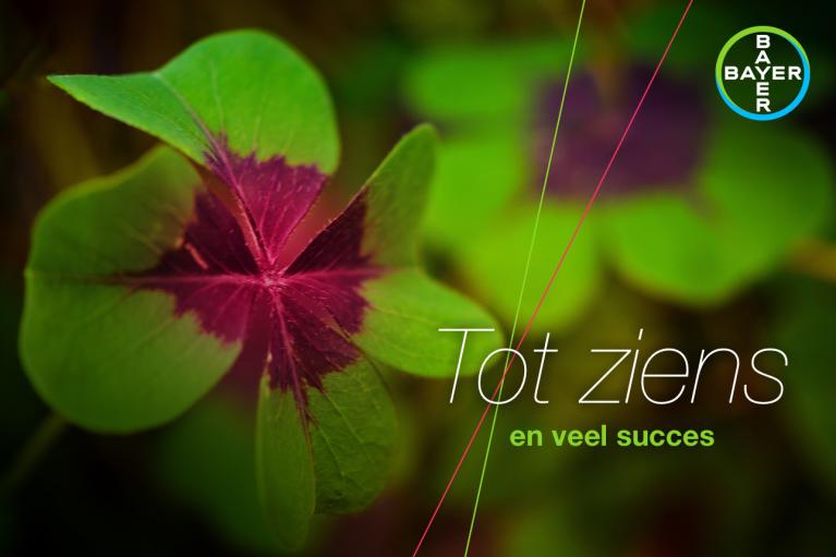 A close-up of a four-leaf clover with green and maroon leaves, overlayed with the text "Tot ziens en veel succes" and a Bayer logo in the corner.