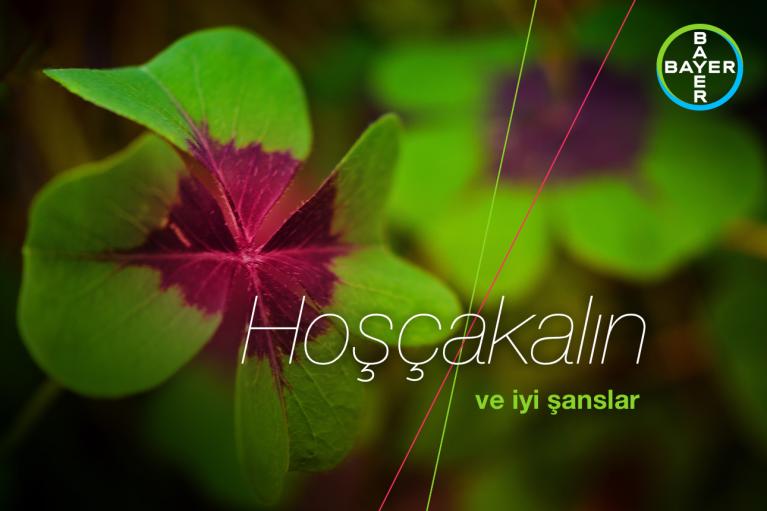 A close-up of a green clover with a red center, featuring the Bayer logo and Turkish text "Hoşçakalın ve iyi şanslar" (Goodbye and good luck).