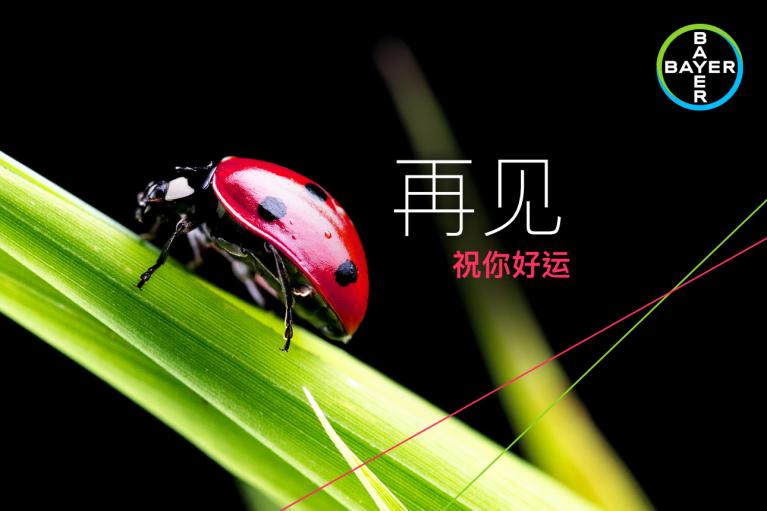 A ladybug on a green leaf with Chinese text and a Bayer logo on a black background.