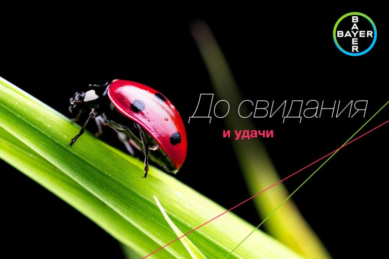 A ladybug on a green leaf with Russian text, "До свидания и удачи," and the Bayer logo in the top right corner.