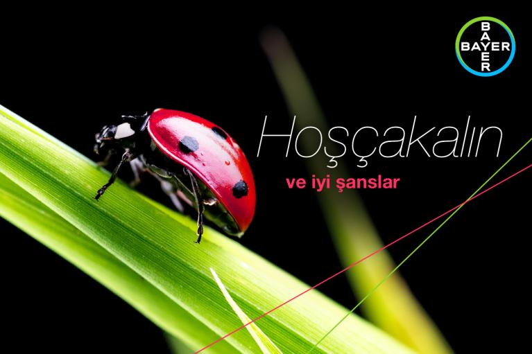 A ladybug on a green leaf with the text "Hoşçakalın ve iyi şanslar" and a Bayer logo in the corner.