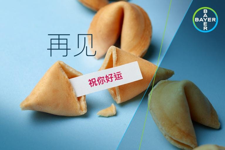 Fortune cookies on a blue surface, one cracked open with a paper strip inside. Chinese text on paper and in the image background. Bayer logo in the corner.