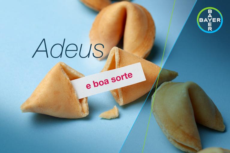 Fortune cookie broken open, displaying a slip of paper with the text "e boa sorte" on a blue background.
