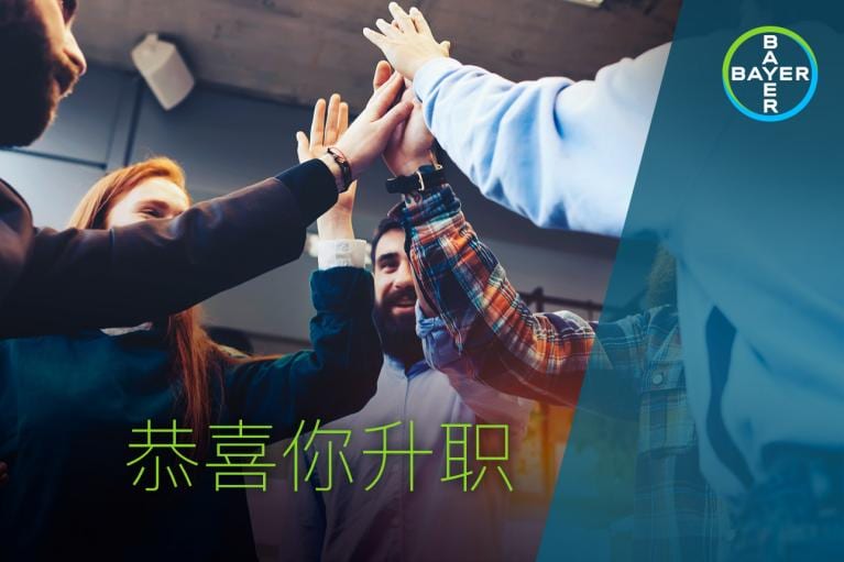 A group of people high-fiving in a celebratory gesture. The text in Chinese reads "Congratulations on your promotion." The Bayer logo is visible in the top right corner.
