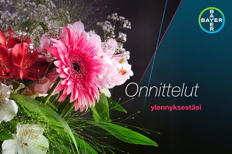 A bouquet with pink and red flowers is displayed. Finnish text reads "Onnittelut ylennyksestäsi" with a Bayer logo in the corner.