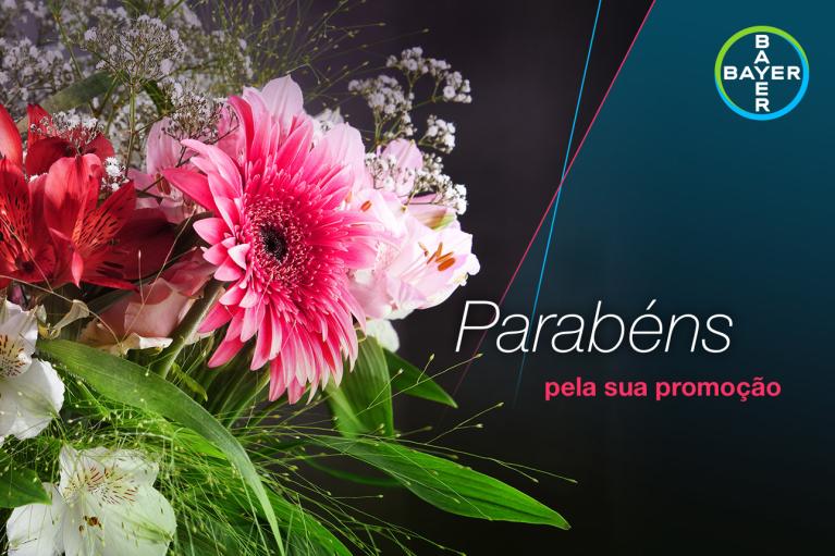 A colorful bouquet with pink and red flowers, featuring a congratulatory message in Portuguese for a promotion. Bayer logo displayed in the top right corner.