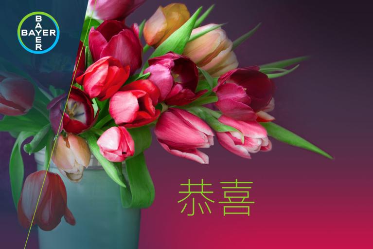 Bouquet with tulips and the word "恭喜"