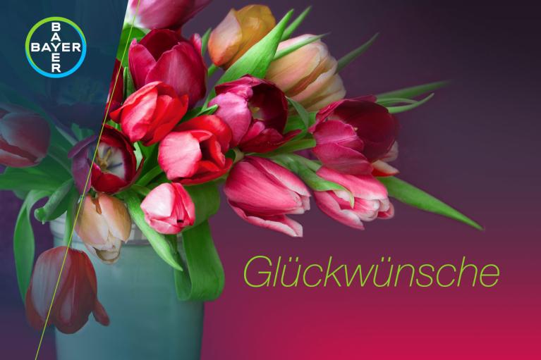 Bouquet with tulips and the word "Glückwunsch"