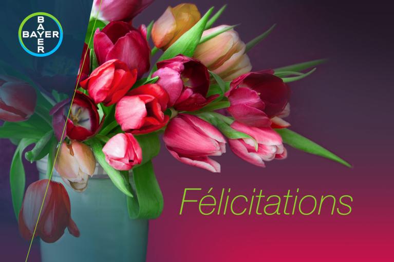 Bouquet with tulips and the word "Félicitations"