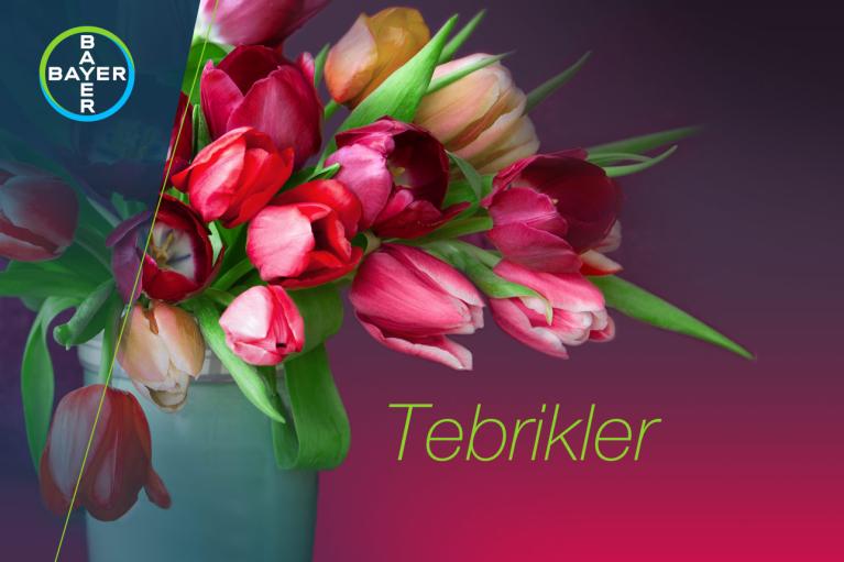 Bouquet with tulips and the word "Tebrikler"