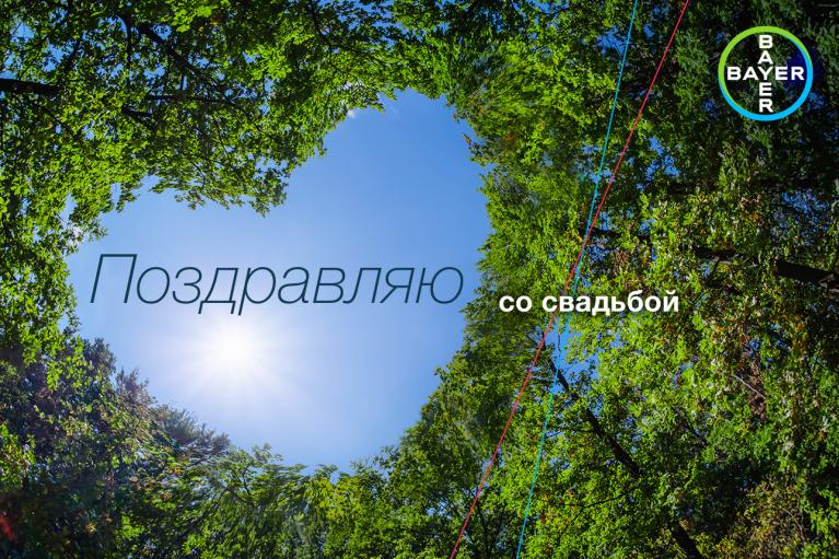 Поздравляю со свадьбой