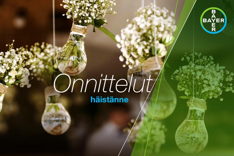 Onnittelut häistänne