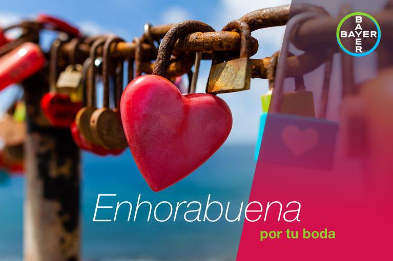 Enhorabuena por tu boda