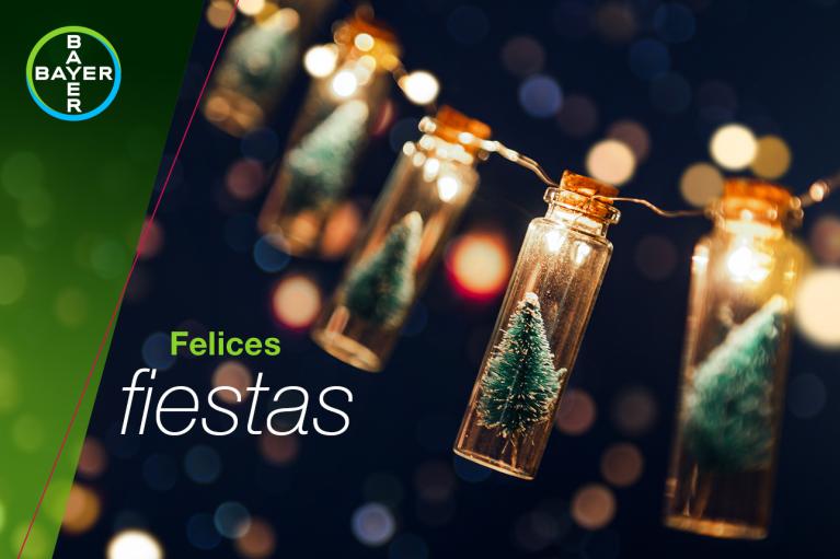 Felices fiestas, Fairy lights with small fir trees in bottles