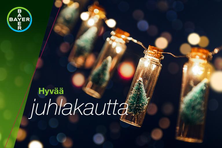 Hyvää  juhlakautta, Fairy lights with small fir trees in bottles