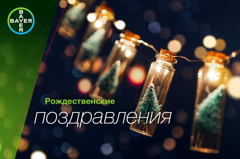 Рождественские поздравления, Fairy lights with small fir trees in bottles