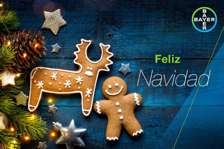 Feliz Navidad, Fir branch, Gingerbread man and reindeer