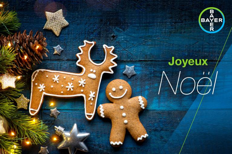 Joyeux Noël, Fir branch, Gingerbread man and reindeer