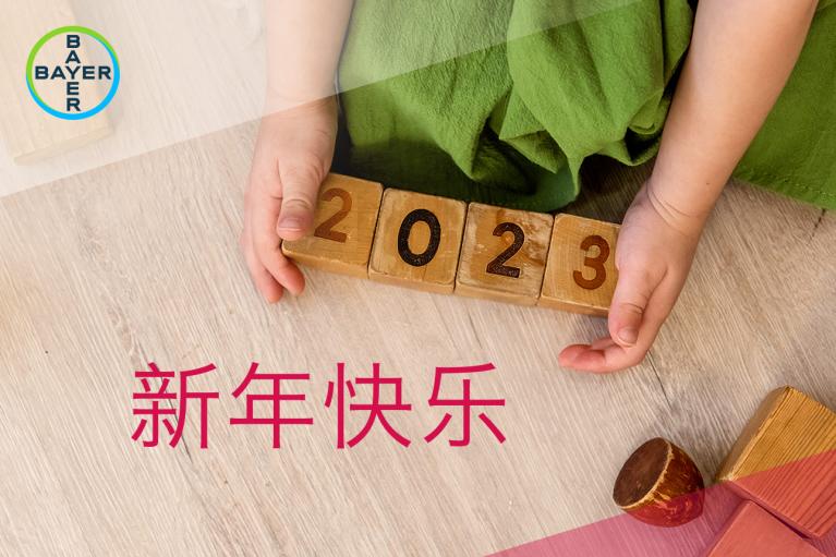 新年快乐, child made 2023 with building blocks