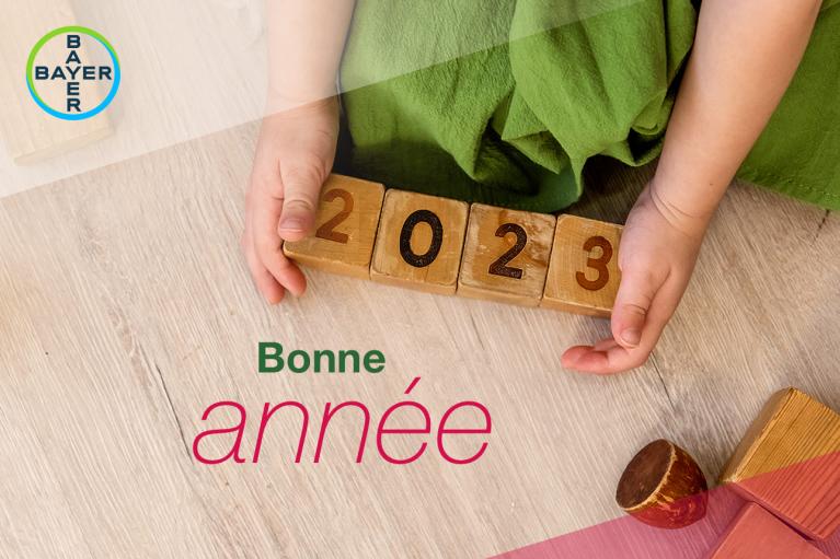 Bonne année, child made 2023 with building blocks