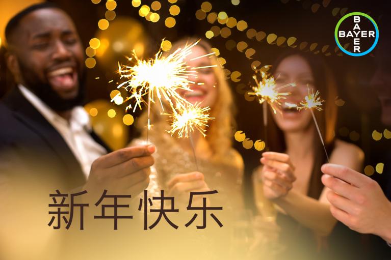 新年快乐, 3 people burn sparklers