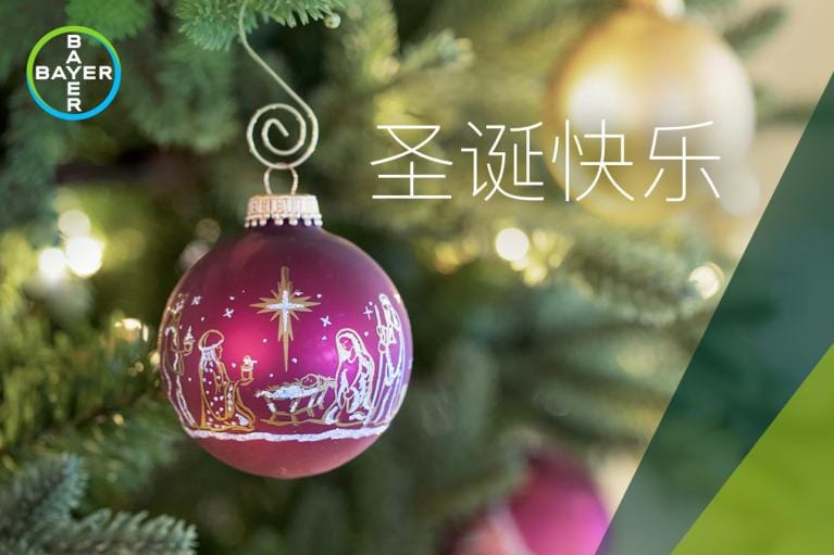 圣诞快乐, Christmas ball with nativity scene