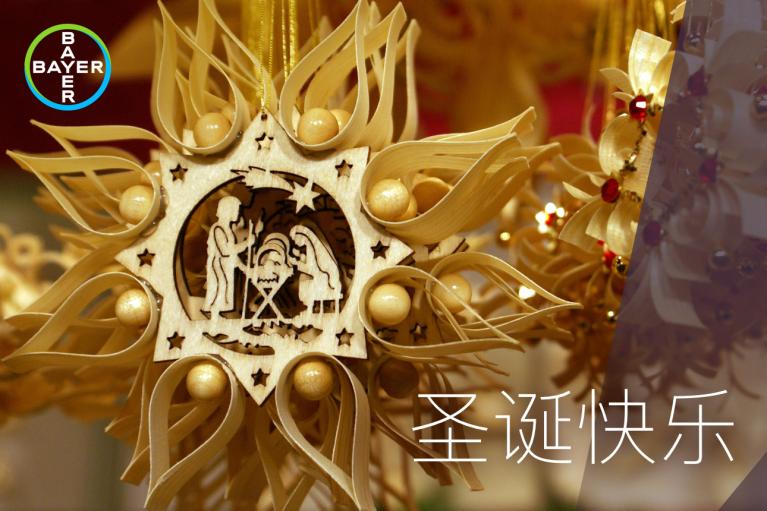 圣诞快乐, star with nativity motif
