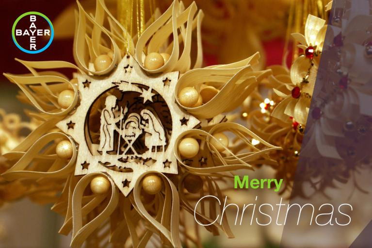 Merry Christmas, star with nativity motif